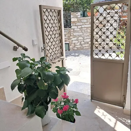 Daire αnesi İskados