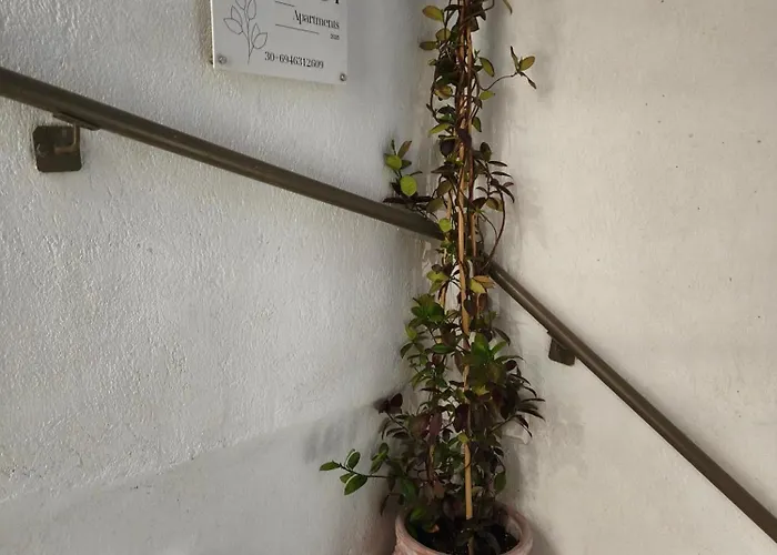 Apartman αnesi Szkiáthosz