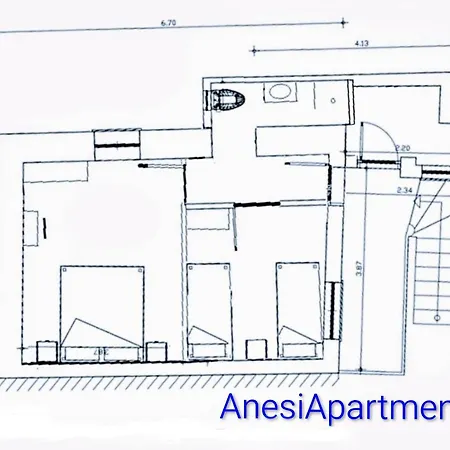 αnesi *